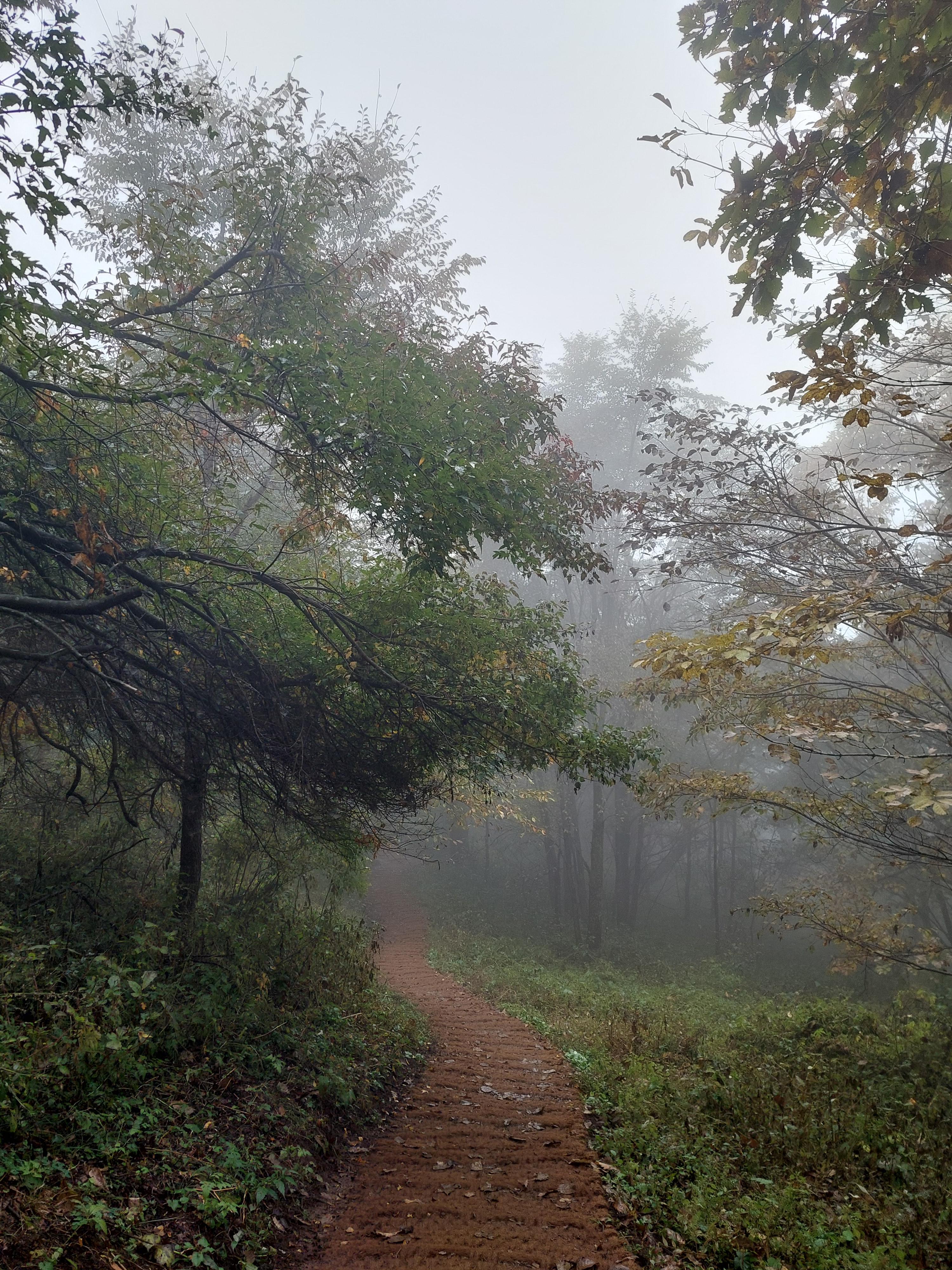 민둥산