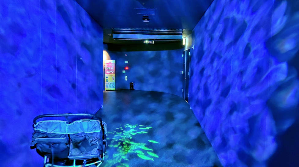 광교 아쿠아플라넷 다녀온 후기 사진 4