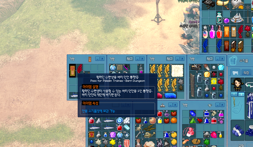 G2 新팔라딘 [팔라딘 수련생용 던전 통행증 / 트리아나 / 루에리]