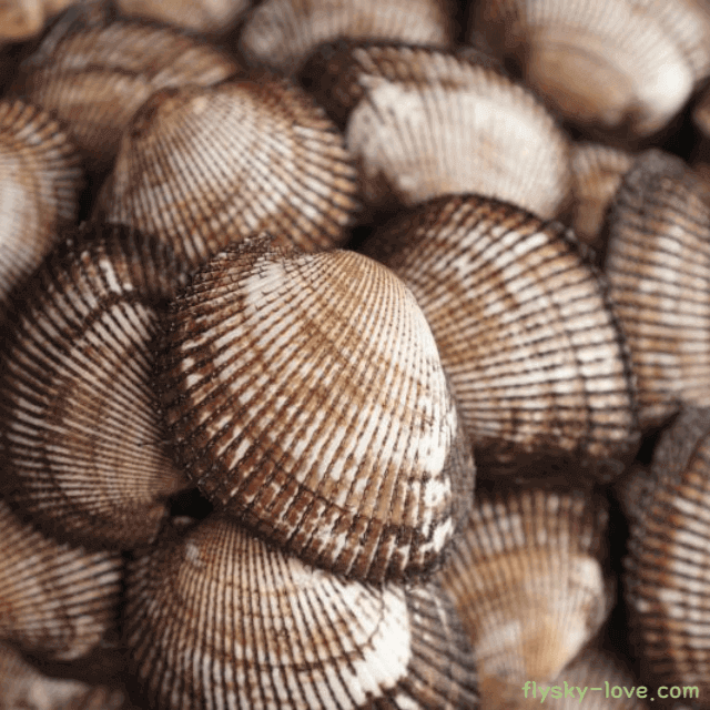 바다 향 가득한 제철 수산물 피조개