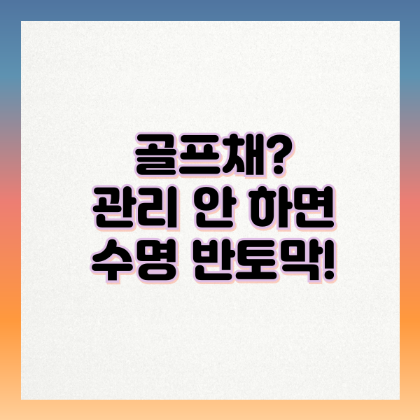 골프채?관리 안 하면 수명 반토막!