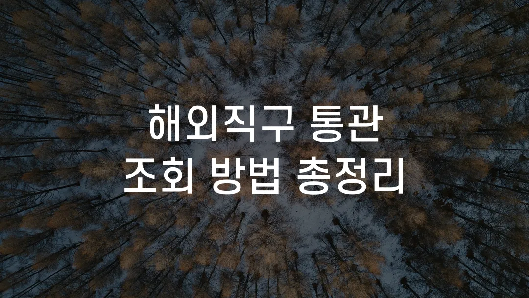 해외직구 통관 조회 방법 총정리