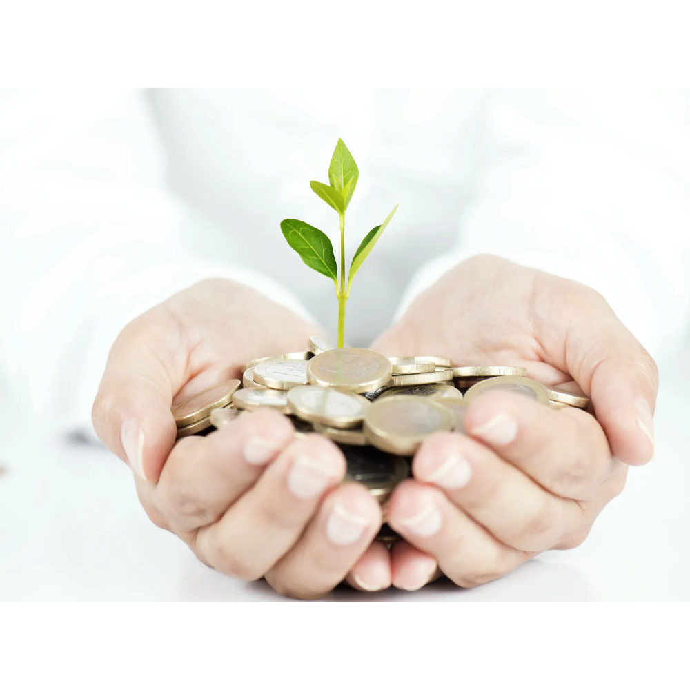 사회 초년생 재테크