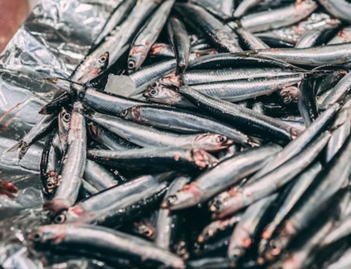 눈밑 떨림, 눈꺼풀 떨림