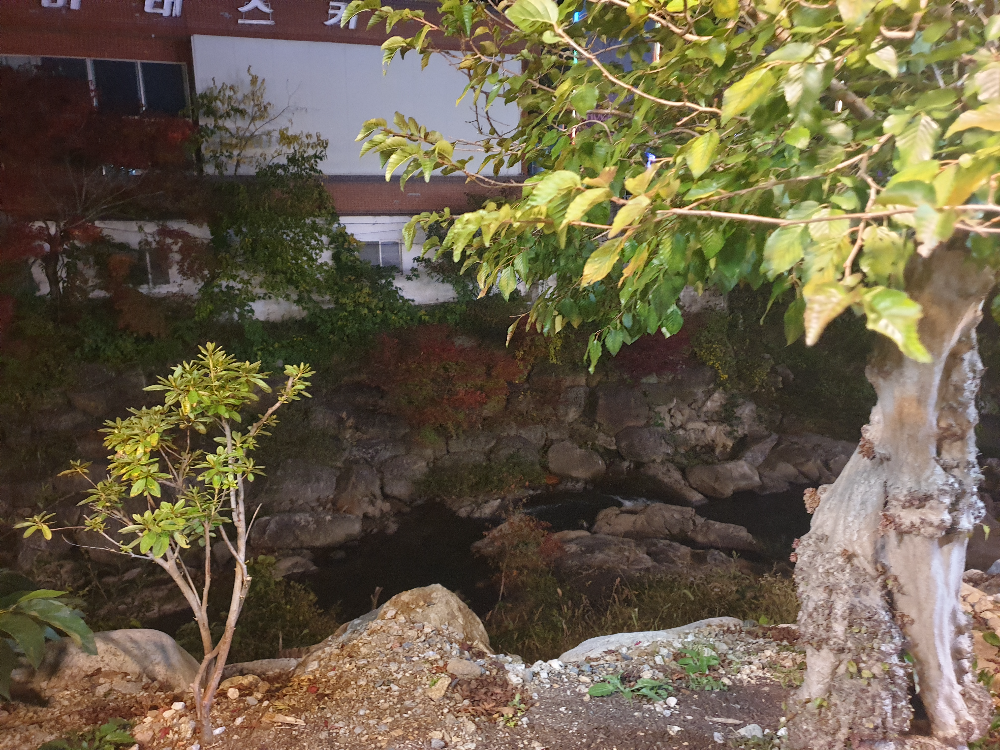 꽤 깊은 개천이 음식점 옆에 있다. 돌로 쌓여진 제방위에 건물들이 들어서있다.