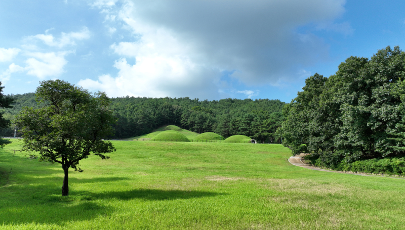 햇살 좋은 날 부여 왕릉원의 고분과 소나무 숲 전경