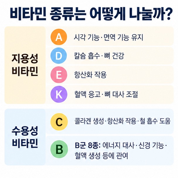 지용성 비타민 A D E K와 수용성 비타민 C B군의 대표 역할을 비교한 표