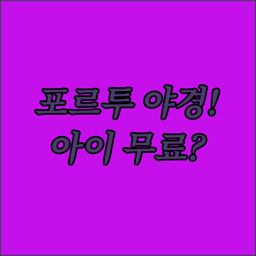 포르투 야경이 예쁜 가이아 지역 호텔..