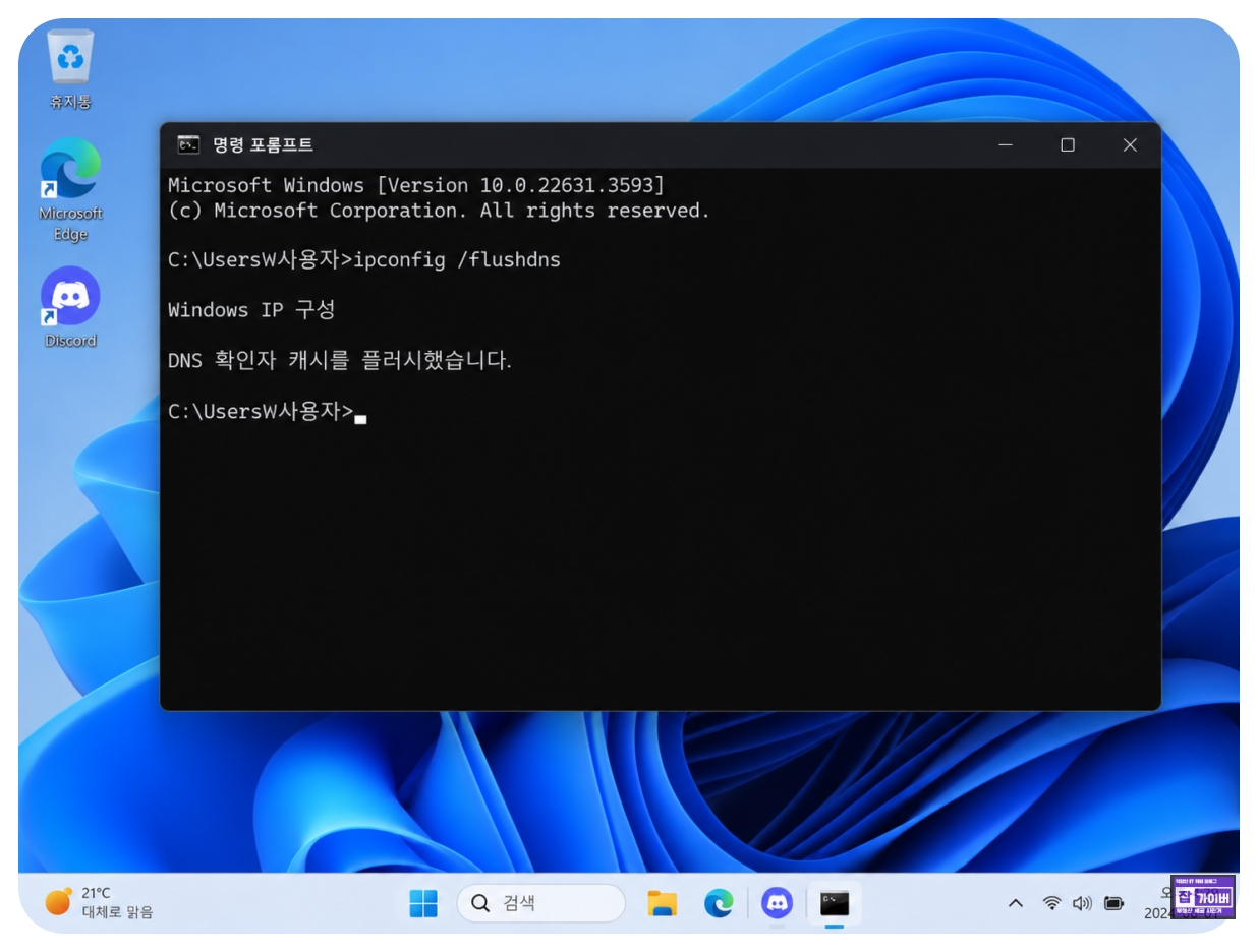 윈도우11 ipconfig flushdns DNS 캐시 초기화 디스코드 RTC 오류