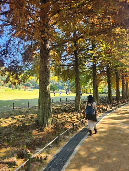 갱년기 여성의 생리적 변화와 증상 및 치료 방법