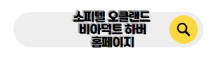 뉴질랜드 신혼여행