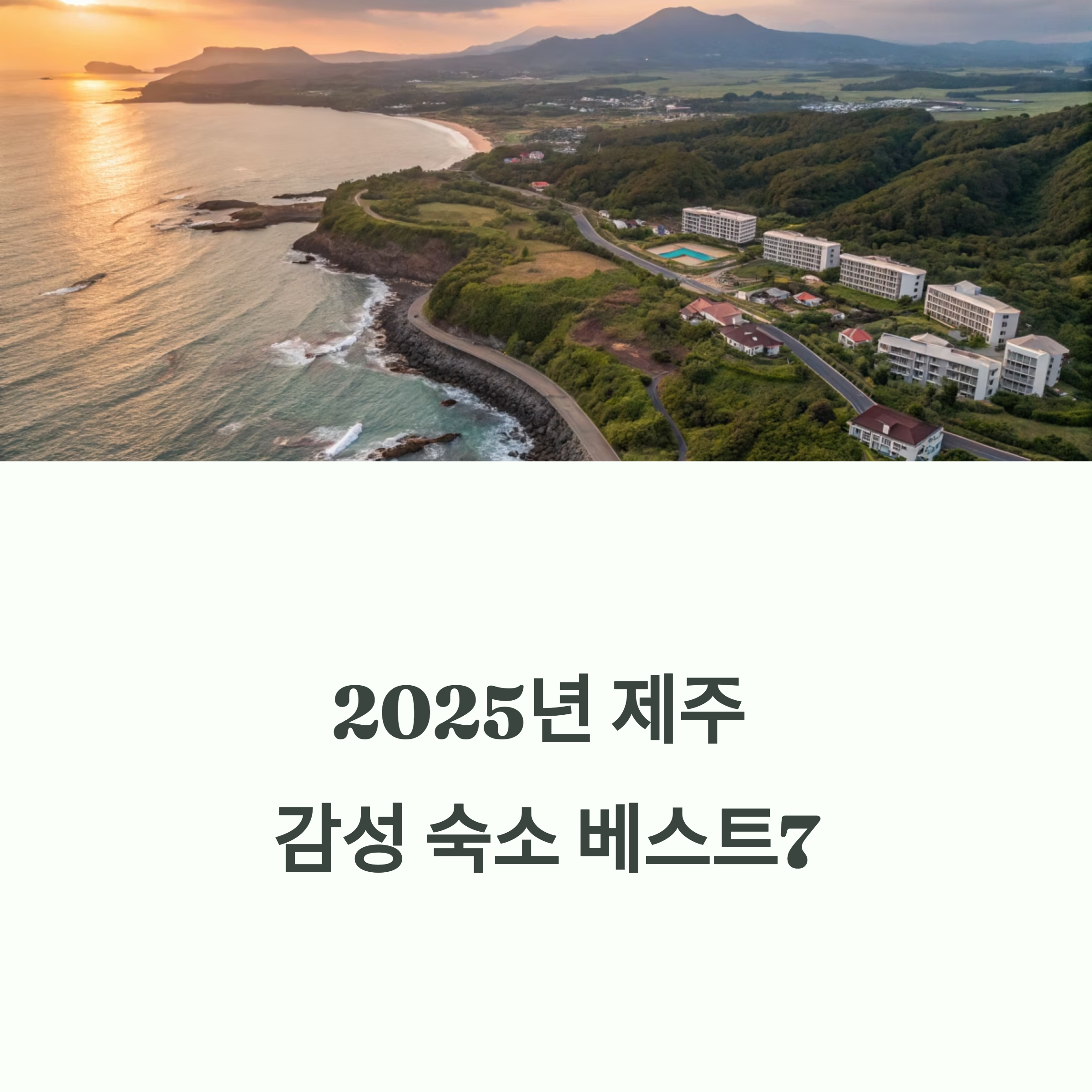 여기서만 묵으세요