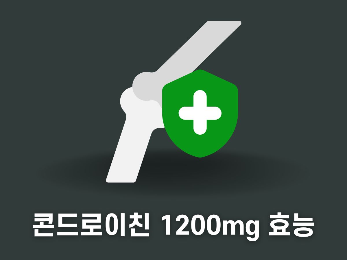 콘드로이친 1200mg효능
