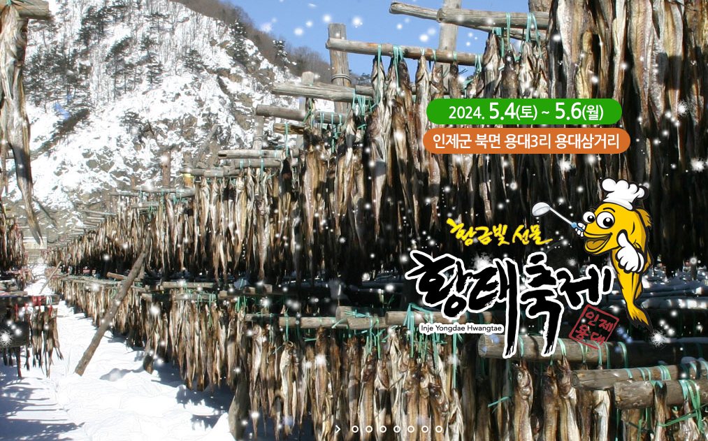 제 24회 용대리 황태축제 바로가기 버튼 페이지