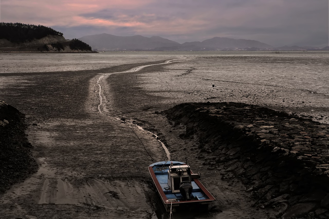 [유명한 지역축제] 바지락 보관법