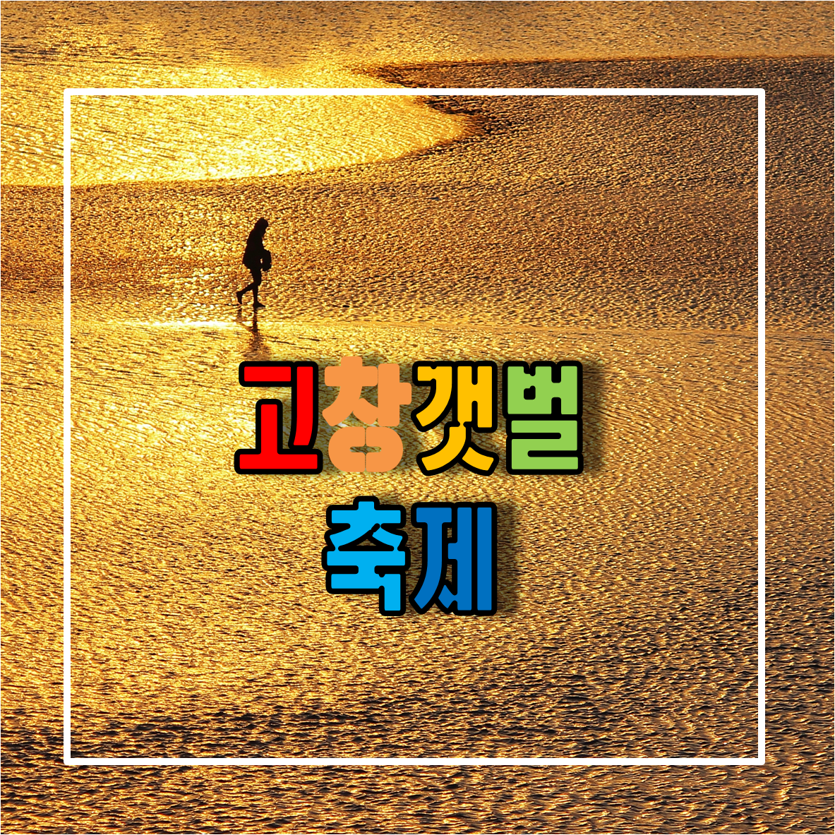 고창갯벌축제