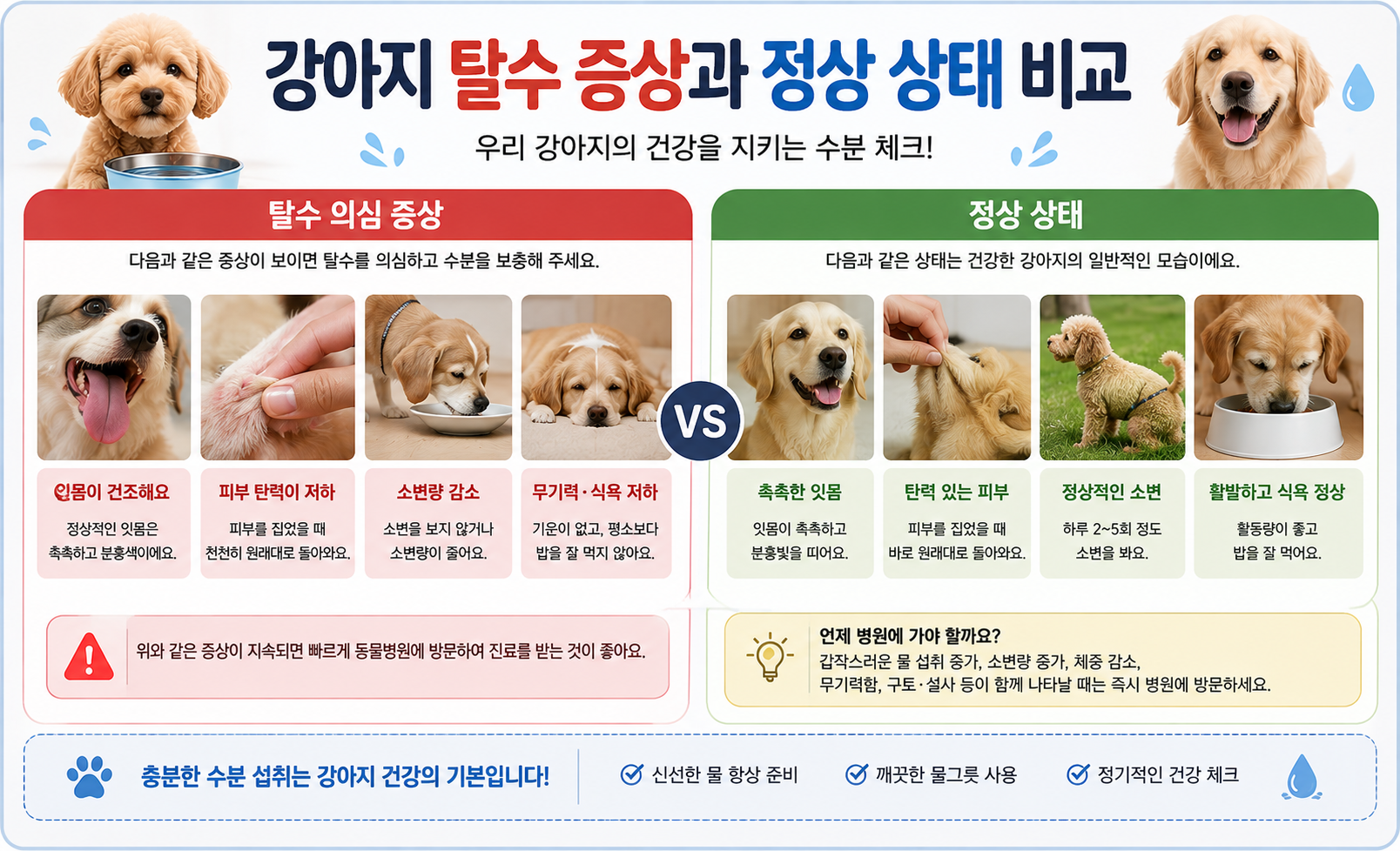 강아지 탈수 증상과 정상 상태 비교 이미지