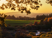 담도암이란 증상 및 생존율은?