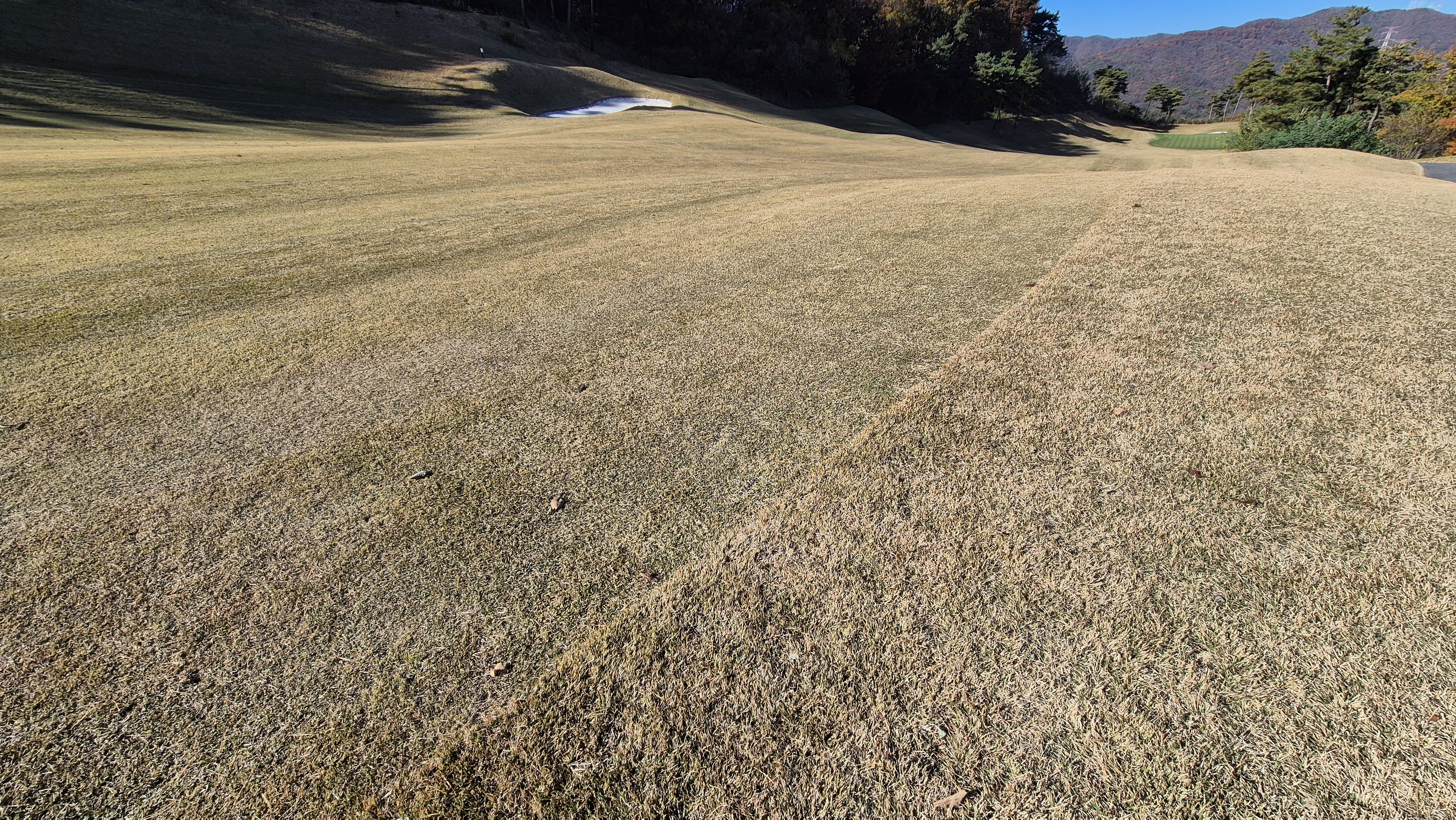 레이캐슬cc 코스 난이도