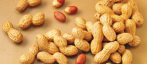 땅콩 효능 3