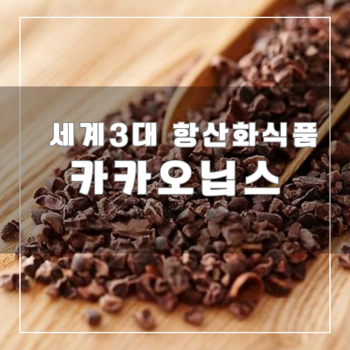 세계3대 항산화 식품 카카오닙스