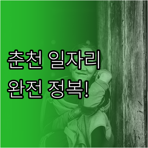 춘천 노인일자리 유형별 업무 내용과 ..