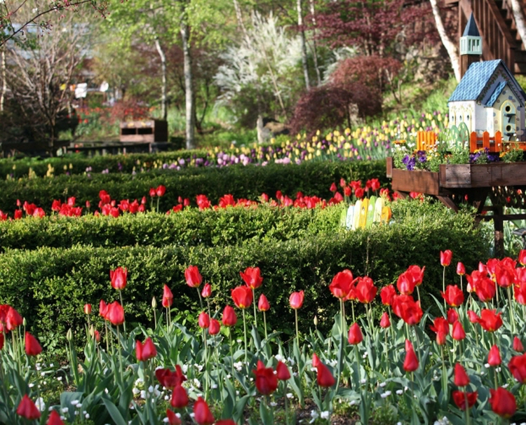 평창 가볼만한곳