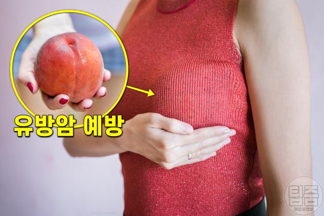 복숭아 효능 6가지,유방암에 좋은음식,팁줌