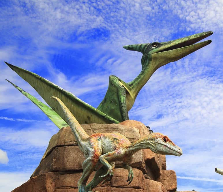  2024 해남 공룡대축제 특징