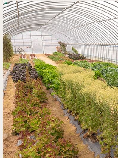 강화도 펜션 강화도 팬션 애견펜션