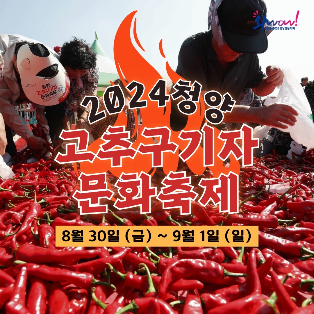청양고추구기자 문화 축제