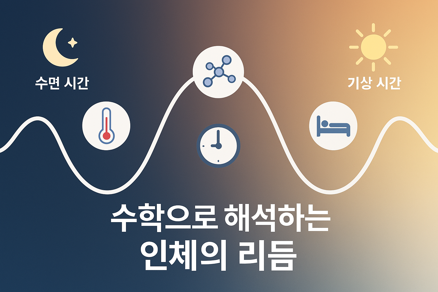 생체리듬과 수학 – 주기 함수로 보는 인체의 시간