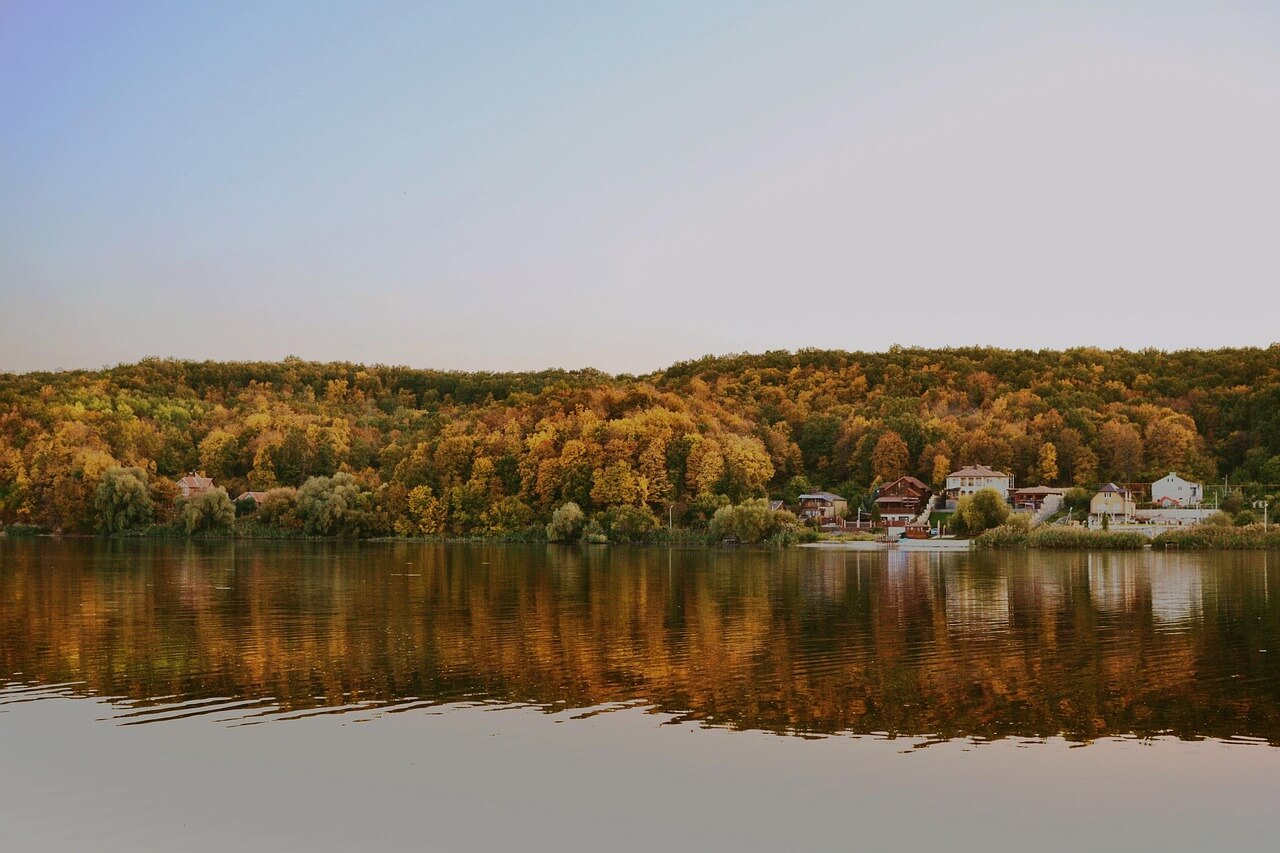 용문산 용문사 단풍명소|천년은행나무 가을 여행