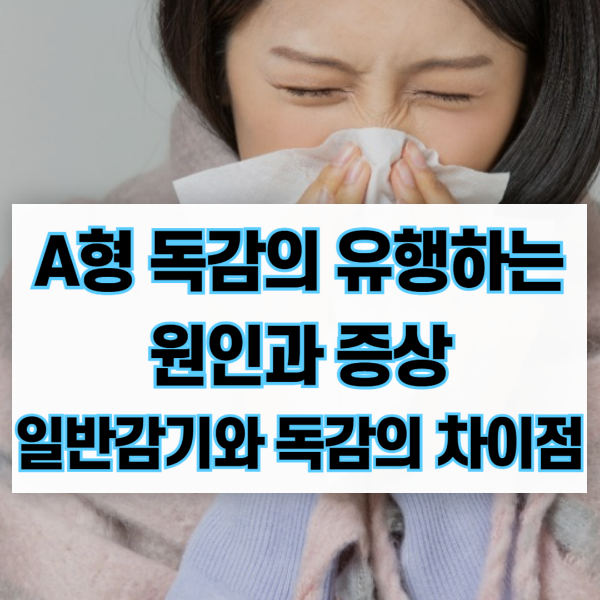 A형 독감의 유행하는 원인과 증상,일반감기와 독감의 차이점
