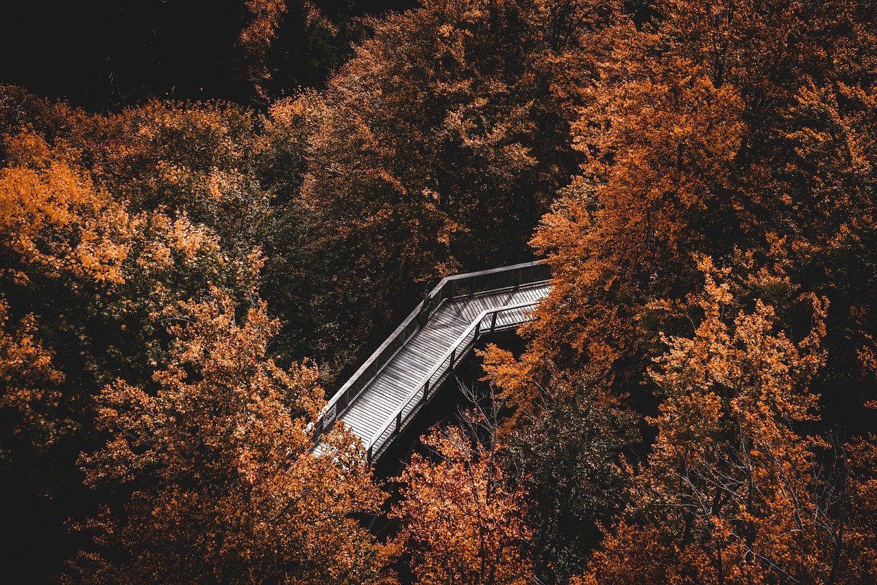 조상이 나오는 꿈, 조상에 관한 꿈 해몽