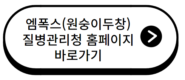 엠폭스(원숭이두창) 치료법과 예방법