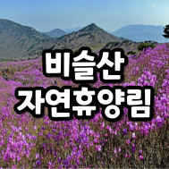 썸네일 입니다.