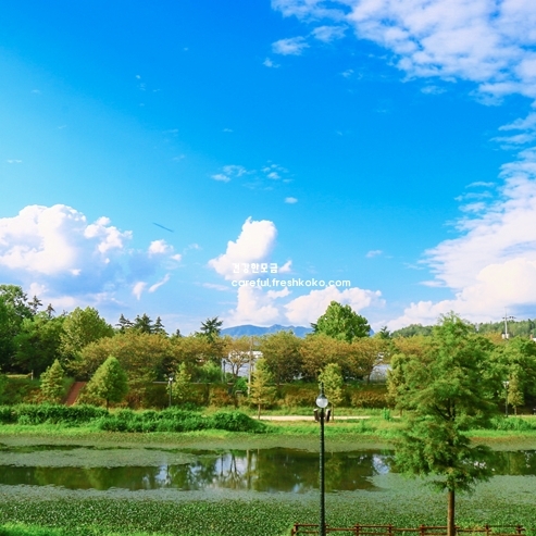 담양 가볼만한곳