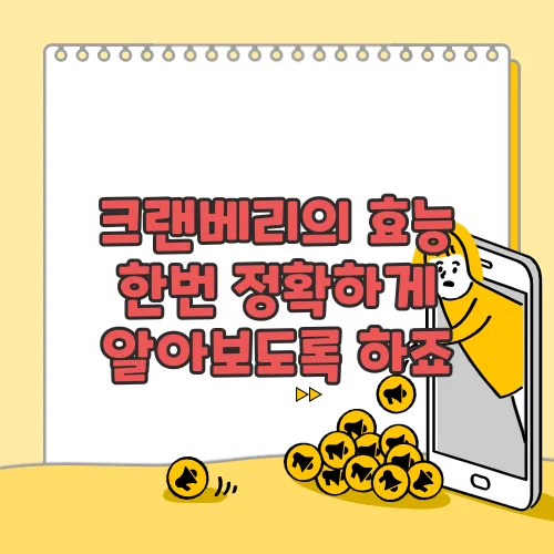 크랜베리의 효능 한번 정확하게 알아보도록 하죠