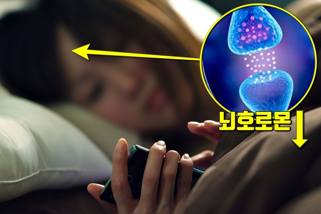 비타민d 부족증상,불면증