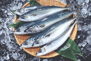 탈모에 좋은 음식12