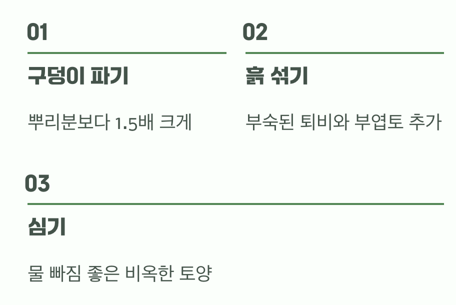 비결 2. 튼튼한 집 지어주기 (흙과 심기)