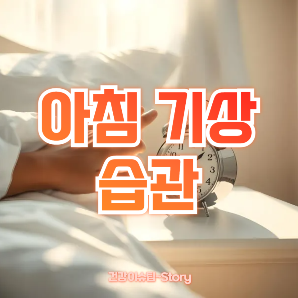 아침 기상 습관