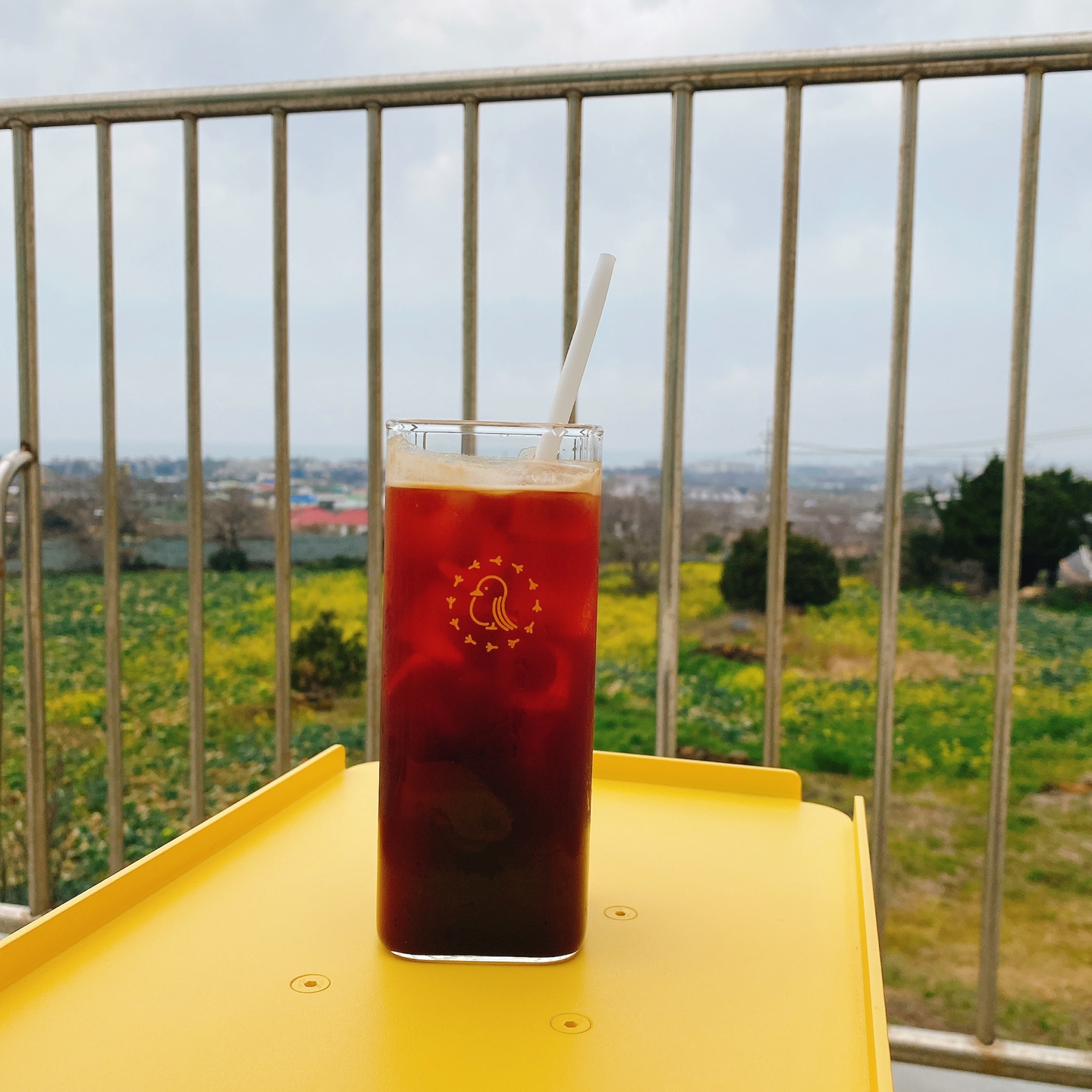 제주 한림공원 명월 디저트맛집 뵤뵤카페