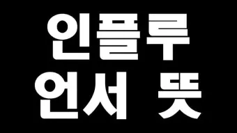 인플루언서 뜻 유래 의미 활용방법_23