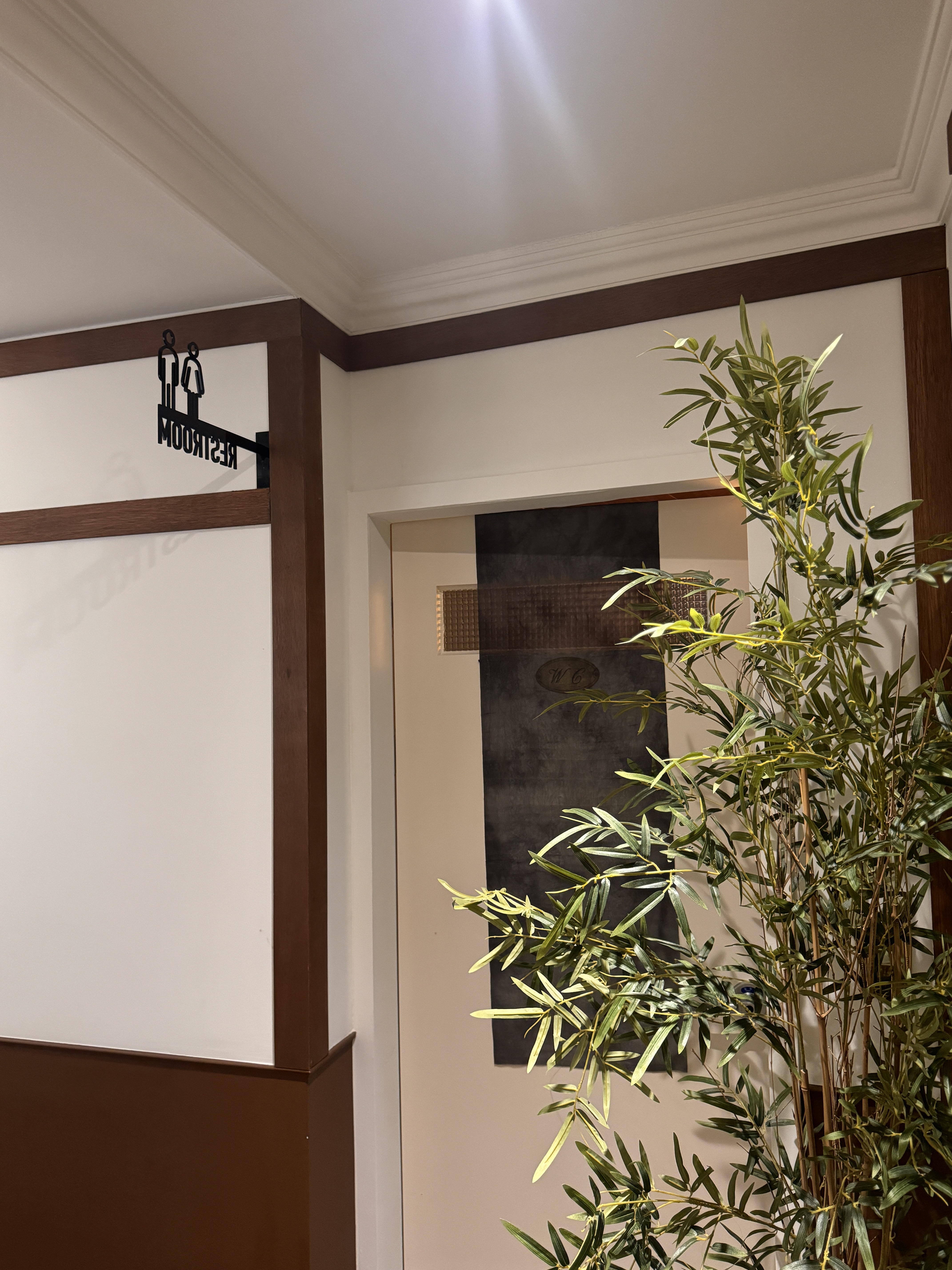 호시노아 오브 수월경화