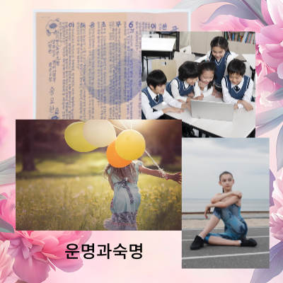 우리나라의 점보는법