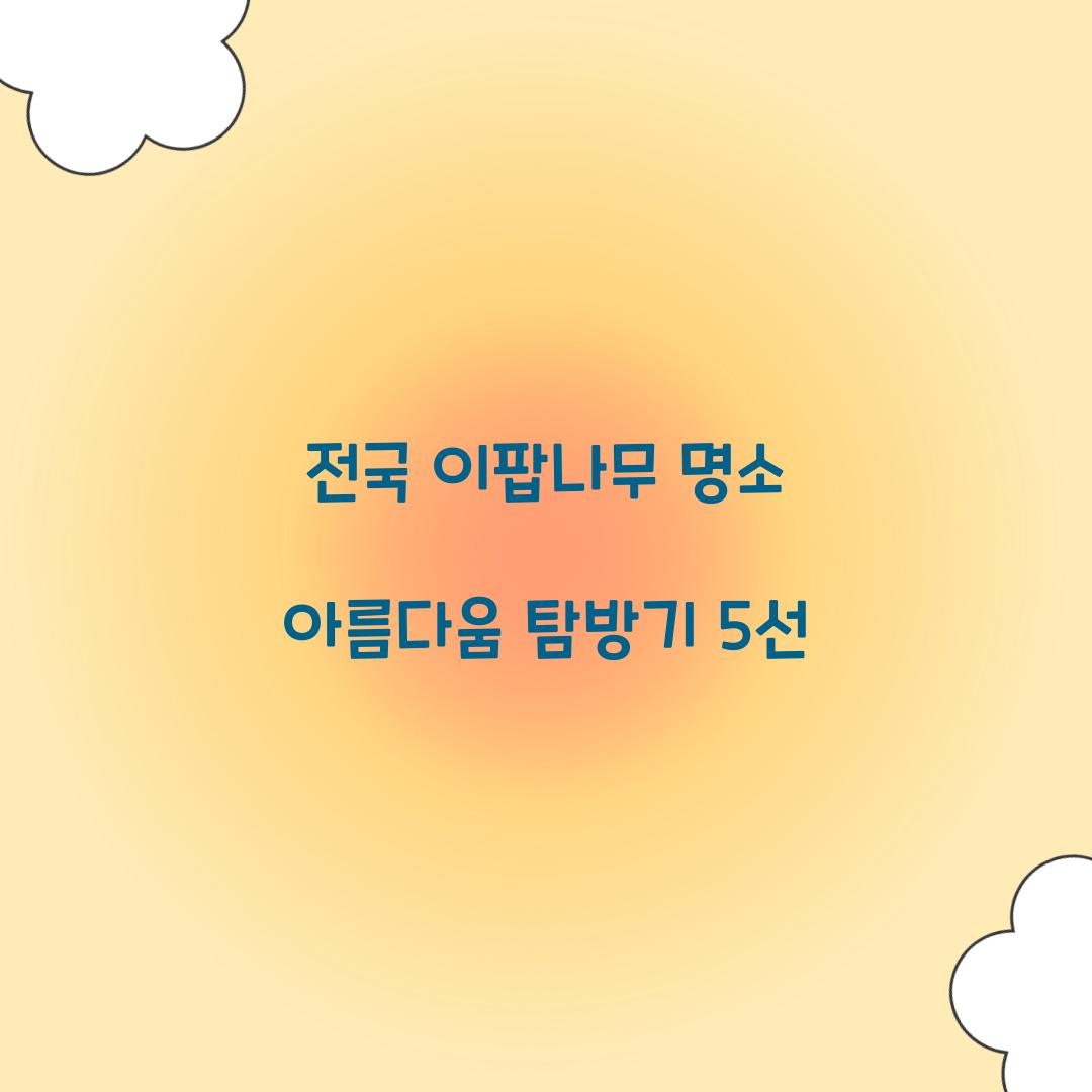 전국 이팝나무 명소