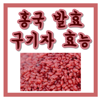 홍국 발효 구기자