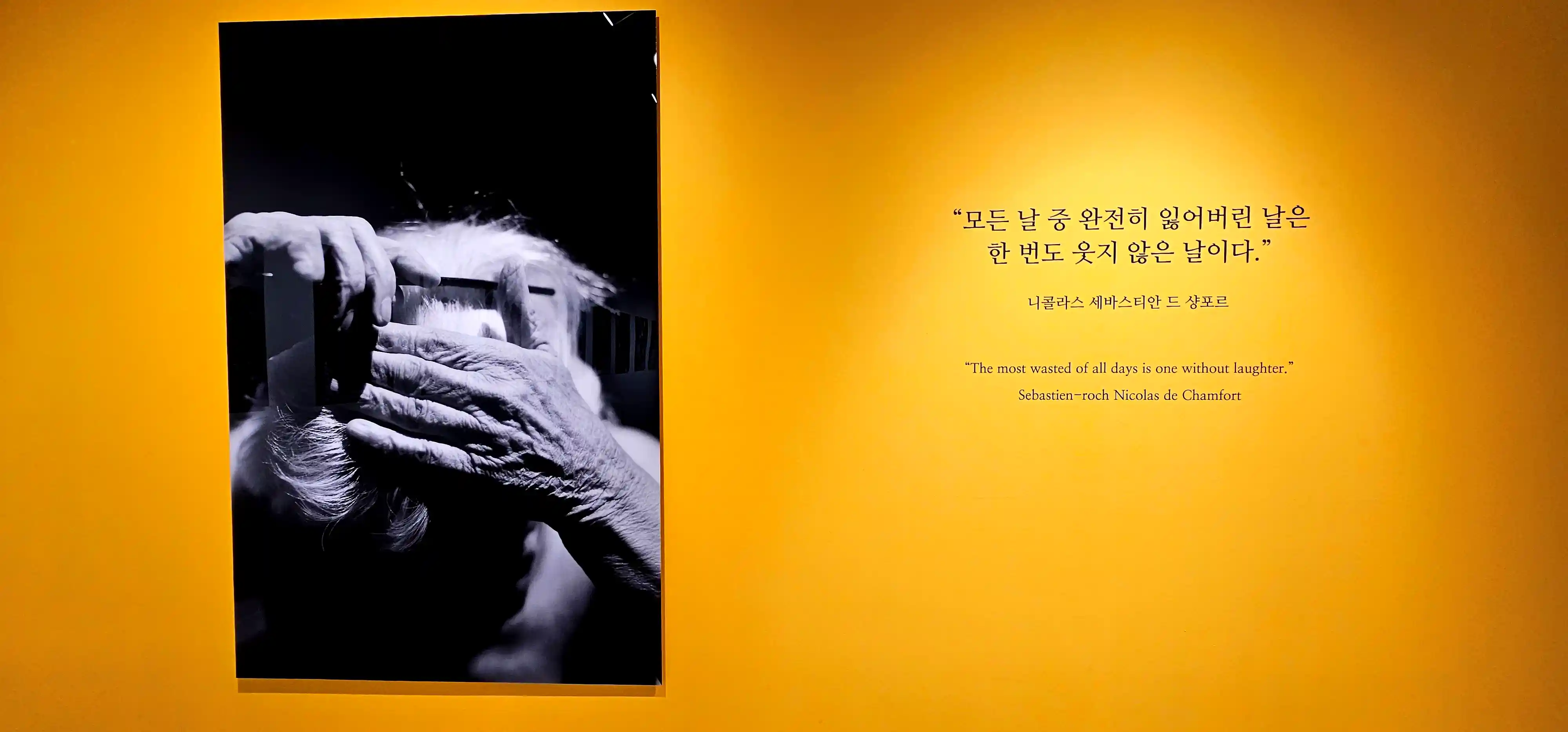 전시장 뷰4.